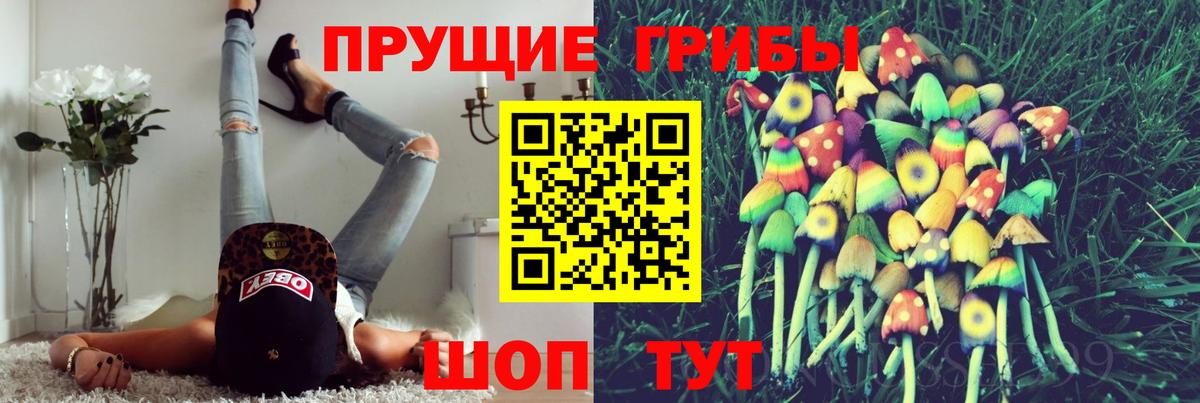 Галлюциногенные грибы GOLDEN TEACHER Воскресенск